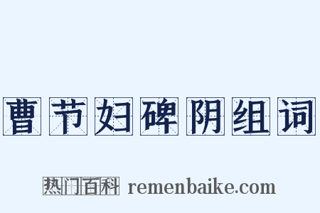 曹节妇碑阴组词是什么意思的图片